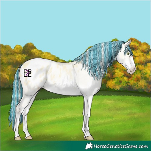 Horse Color:Platinum Painted White Spotted Gold Champagne Dun Sabino Appaloosa