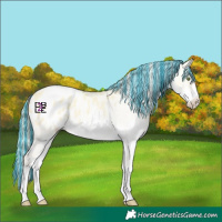 Horse Color:Platinum Painted White Spotted Gold Champagne Dun Sabino Appaloosa