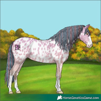Horse Color:Platinum Painted Amber Champagne Sabino Near Leopard 