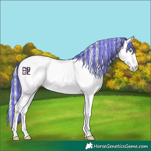 Horse Color:Platinum Painted Gold Cream Champagne Dun Sabino Appaloosa