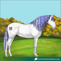 Horse Color:Platinum Painted Gold Cream Champagne Dun Sabino Appaloosa 