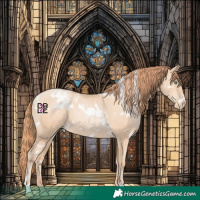 Horse Color:White Spotted Amber Champagne Pearl