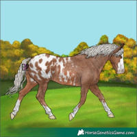 Horse Color:Chestnut Mushroom Blanket 