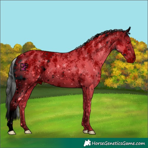 Horse Color:ERROR: UNKNOWN ANOMALY