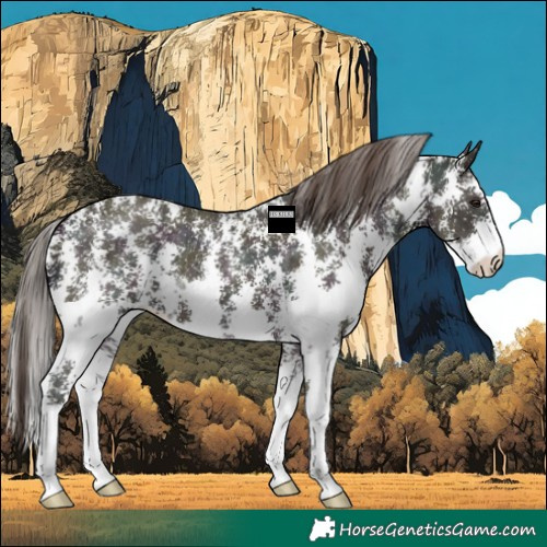 Horse Color:Midnight Classic Champagne Ice Sabino