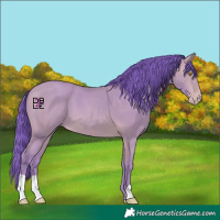 Horse Color:Watercolor Amber Champagne 