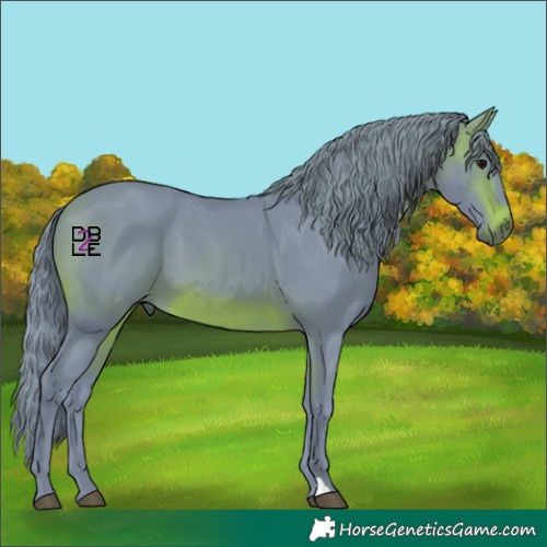 Horse Color:Watercolor Brown 