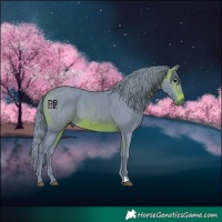 Horse Color:Watercolor Brown 