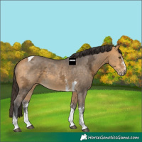 Horse Color:Buckskin Ice Sabino Tobiano 