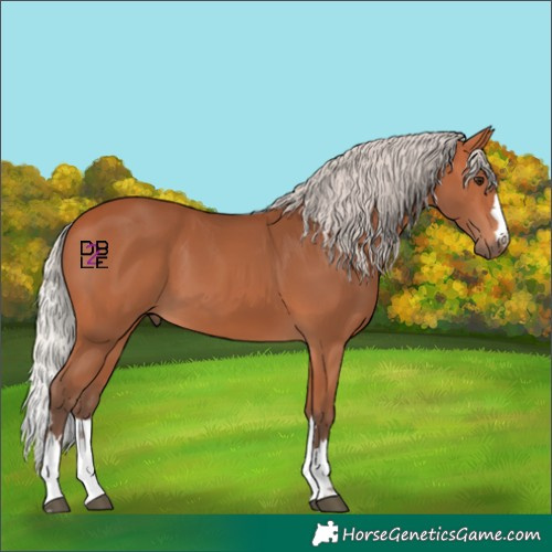 Horse Color:Silver Bay 