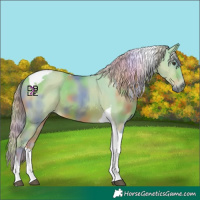 Horse Color:Nacre Watercolor Chestnut Tobiano