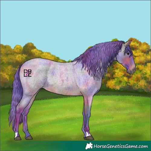Horse Color:Nacre Watercolor Bay Roan