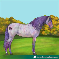 Horse Color:Nacre Watercolor Bay Roan 