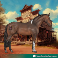 Horse Color:Bay Mushroom Tobiano