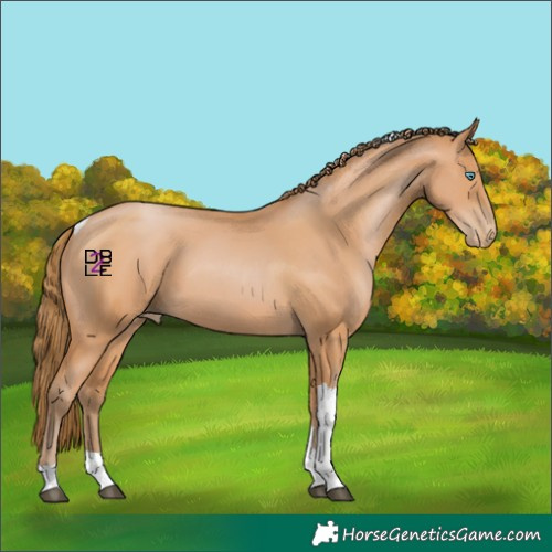 Horse Color:Bay Pearl Tobiano