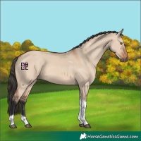 Horse Color:Bay Dun Mushroom Tobiano