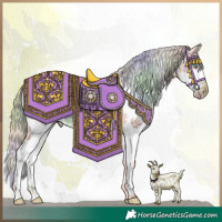 Horse Color:Nacre Chestnut Sabino Splash Appaloosa