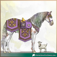 Horse Color:Nacre Chestnut Sabino Splash Appaloosa