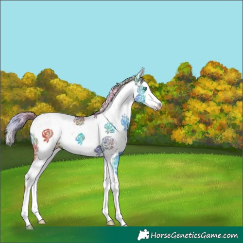 Horse Color:Nacre Chestnut Sabino Splash 