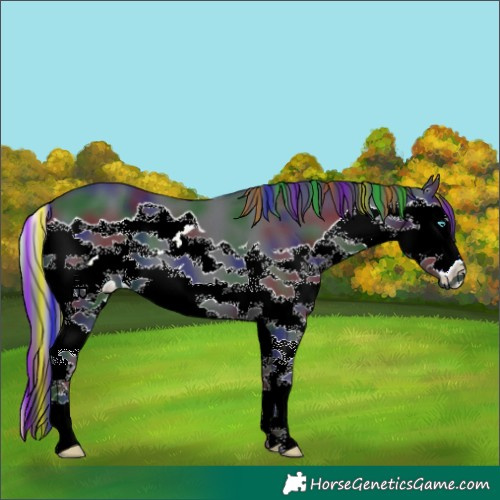 Horse Color:Painted Nacre Black Splash