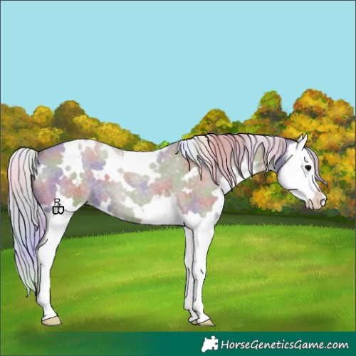 Horse Color:Nacre White Spotted Silver Grullo Roan Splash 