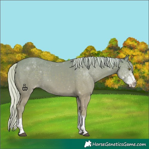 Horse Color:Watercolor Silver Grullo Sabino Tobiano Appaloosa 
