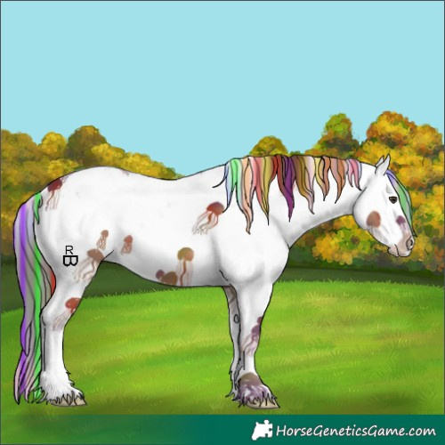 Horse Color:Painted Nacre Chestnut Sabino Splash 