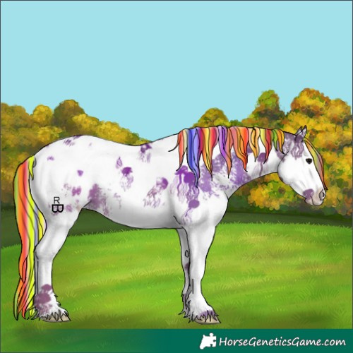 Horse Color:Painted Silver Black Sabino Splash Tobiano Appaloosa 