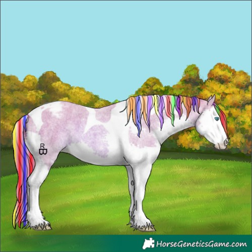 Horse Color:Painted Watercolor Red Roan Splash Tobiano Appaloosa