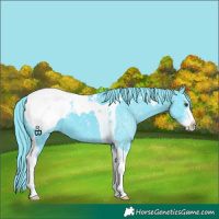 Horse Color:Watercolor Black Sabino Tobiano Snowcap