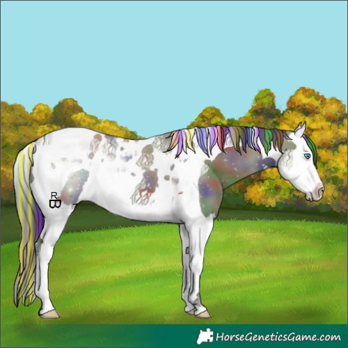 Horse Color:Painted Nacre Grullo Splash Tobiano 