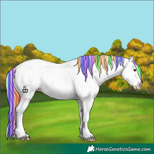 Horse Color:Painted Watercolor Liver Chestnut Sabino Splash