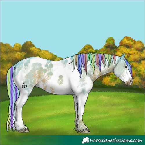 Horse Color:Painted Watercolor Liver Chestnut Sabino Tobiano