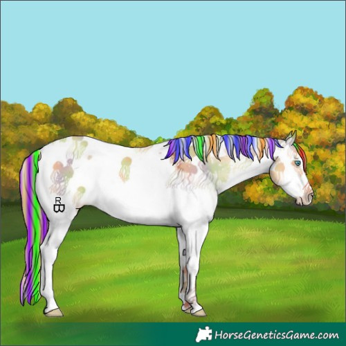 Horse Color:Painted Nacre Red Dun Sabino Splash Tobiano 