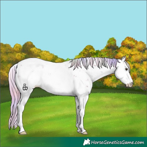 Horse Color:Nacre Watercolor Chestnut Sabino Appaloosa
