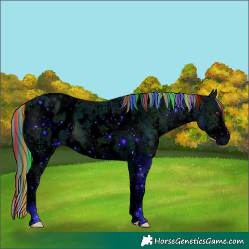 Horse Color:ERROR: UNKNOWN ANOMALY