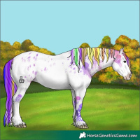 Horse Color:Painted Watercolor Buckskin Sabino Splash Tobiano Appaloosa 