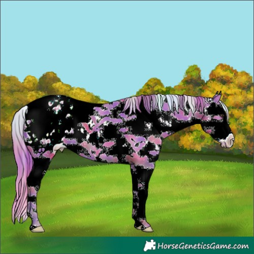 Horse Color:Nacre Watercolor Liver Chestnut Sabino Splash Appaloosa 