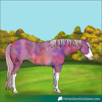 Horse Color:Nacre Watercolor Chocolate Palomino Splash 