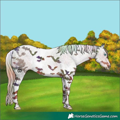 Horse Color:Nacre Liver Chestnut Sabino Splash Tobiano 