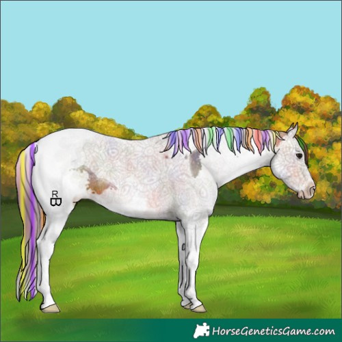 Horse Color:Painted Nacre Brown Splash Tobiano Appaloosa 