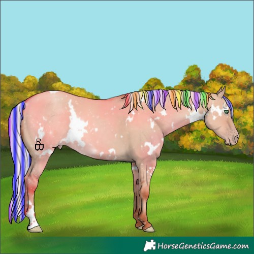 Horse Color:Painted White Spotted Silver Classic Champagne Dun