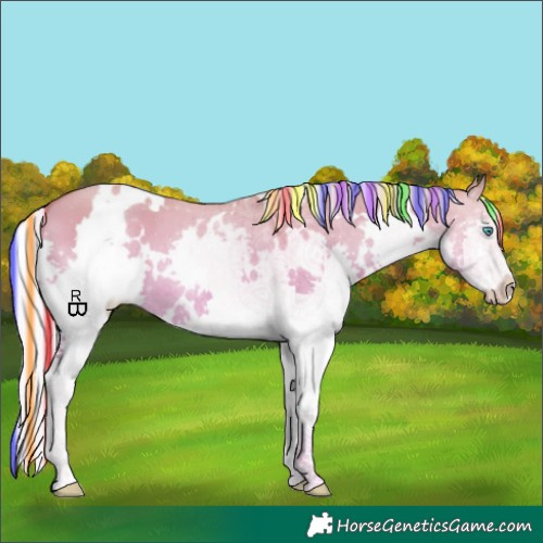 Horse Color:Painted White Spotted Silver Classic Champagne Dun Splash 