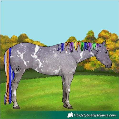 Horse Color:Painted White Spotted Silver Grullo