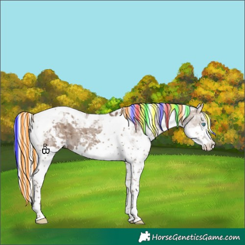 Horse Color:Painted White Spotted Silver Grullo Splash Tobiano Brindle