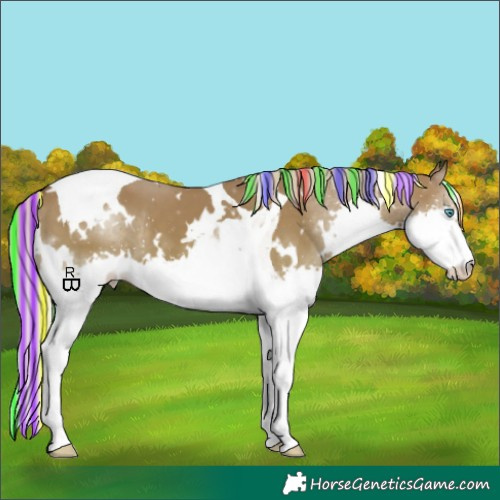 Horse Color:Painted White Spotted Silver Grullo Splash Tobiano 