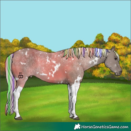 Horse Color:Painted White Spotted Silver Grullo Tobiano 