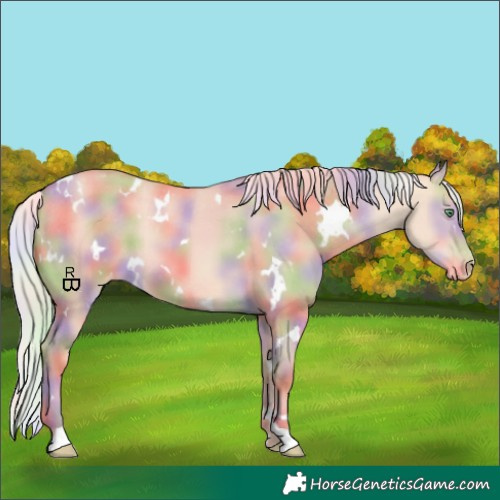 Horse Color:Nacre White Spotted Silver Classic Champagne Dun Appaloosa