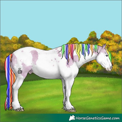 Horse Color:Painted Silver Sable Champagne Chinchilla Dun Splash Tobiano Appaloosa