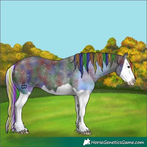 Horse Color:Painted Nacre Liver Chestnut Splash Appaloosa
